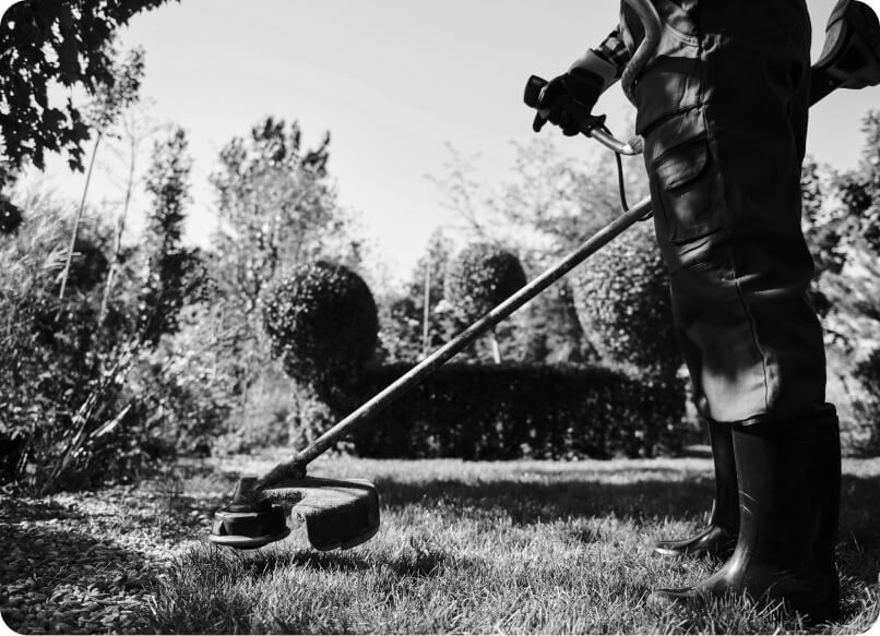 Zážitek očima hosta